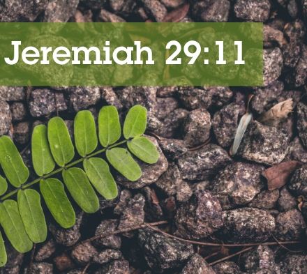 Monthly Encouragement Jeremiah 29:11